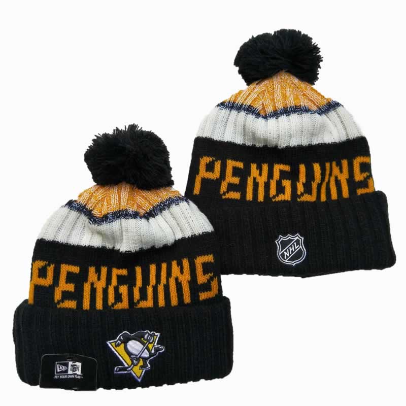 Pittsburgh Penguins Team Logo Knit Hat YD (1),We sell and wholesale Pittsburgh Penguins Team Logo Knit Hat YD (1) on line form chian!